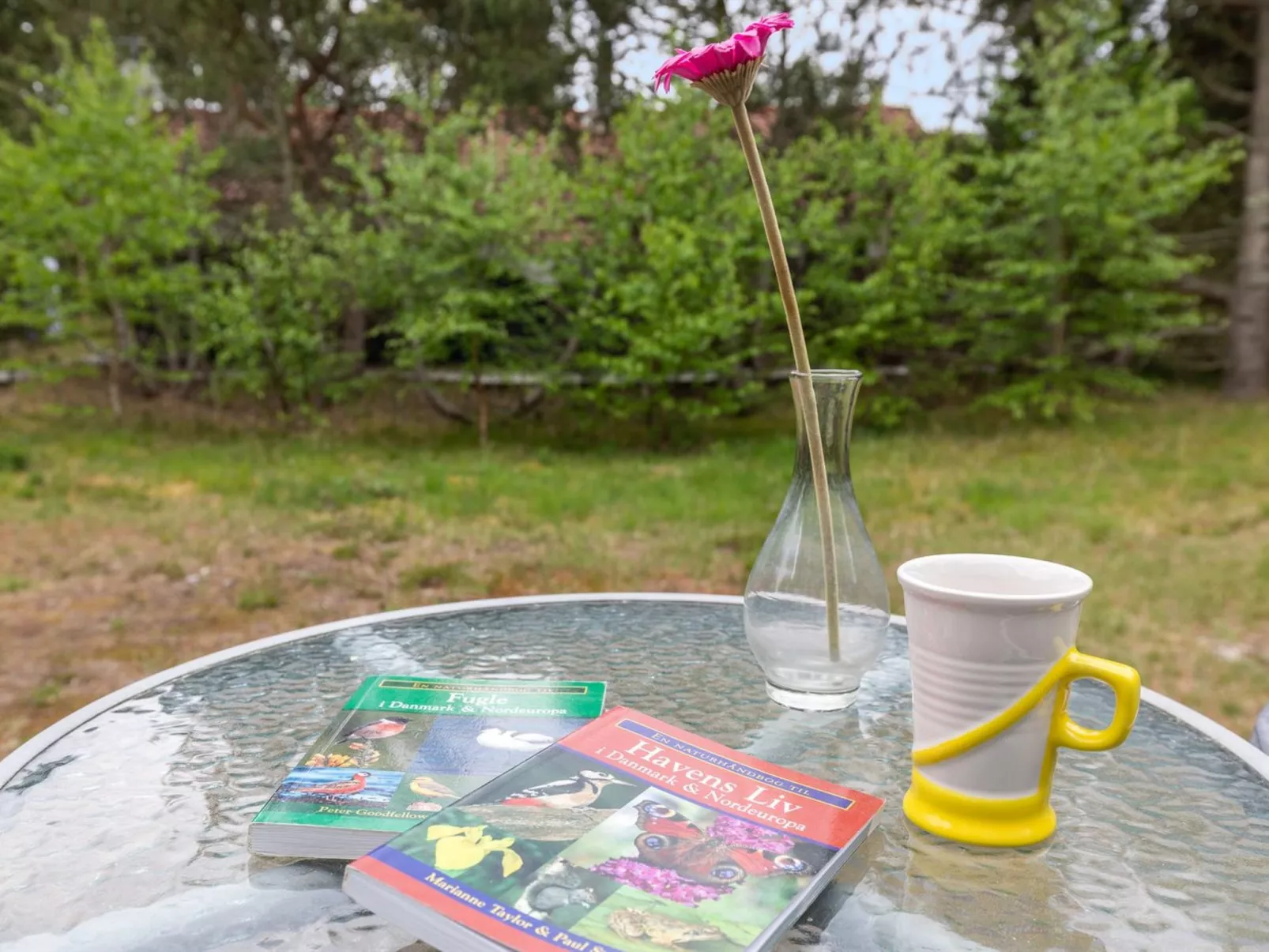 "Hilje" - 350m from the sea-Buiten