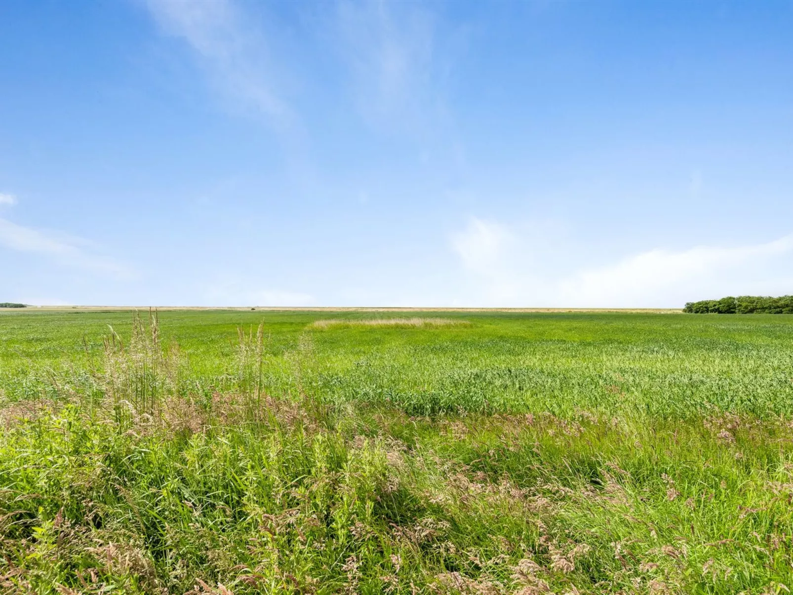 "Thorarin" - 25km from the sea-Binnen