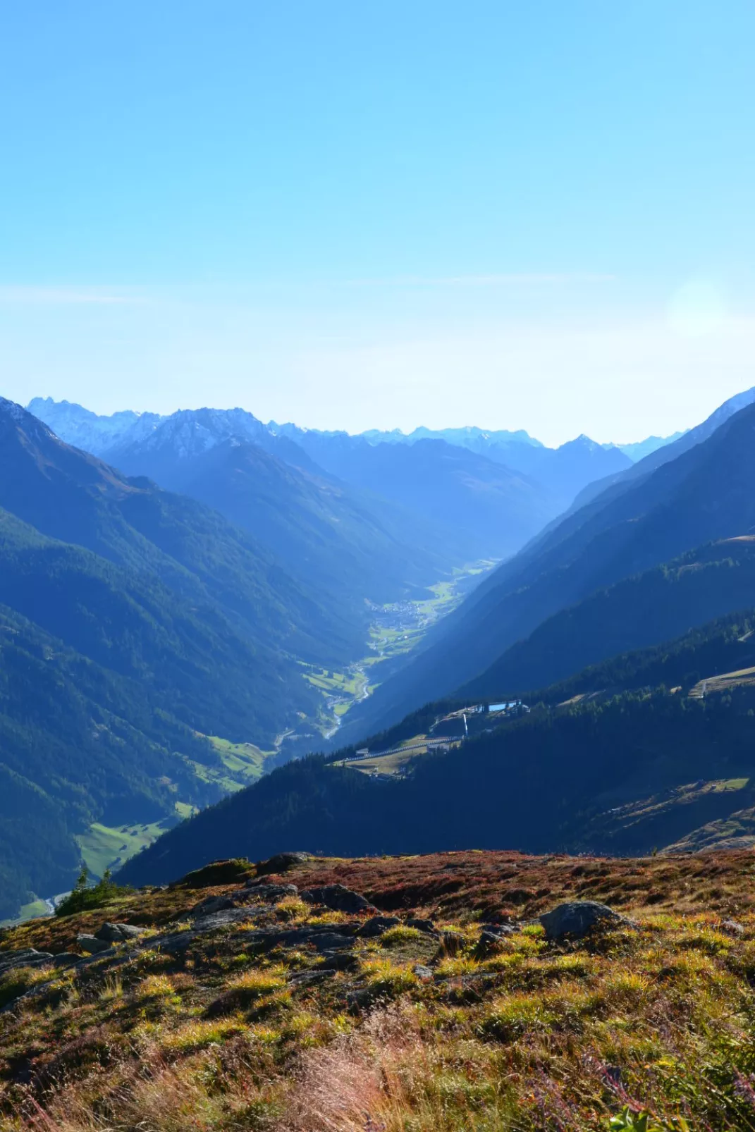 Enzian / Zürcher-Omgeving