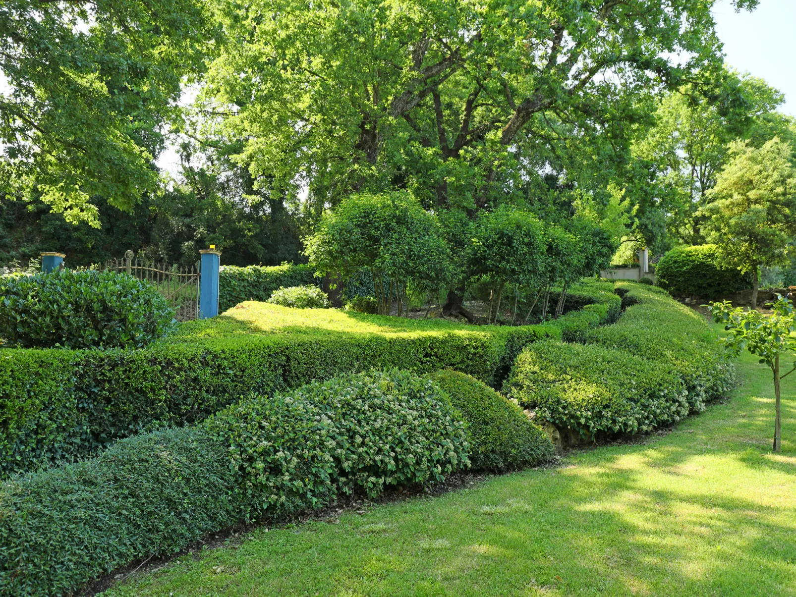 Nest-Buiten