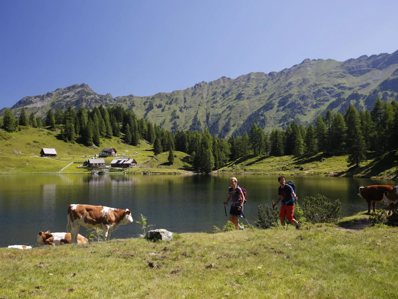 Premium mit 3 Schlafzimmern&Saunabereich-Buiten