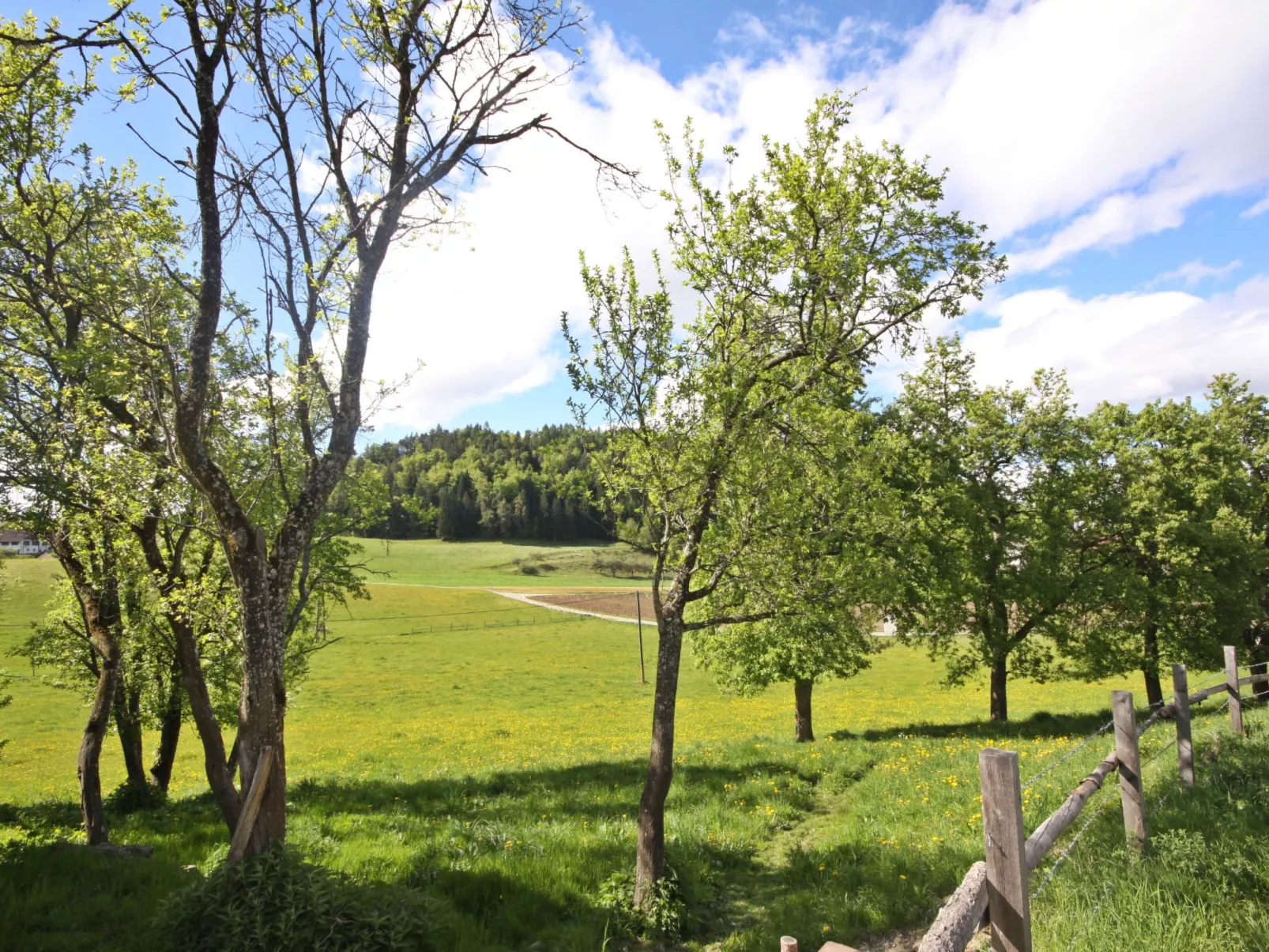 Berg-Buiten