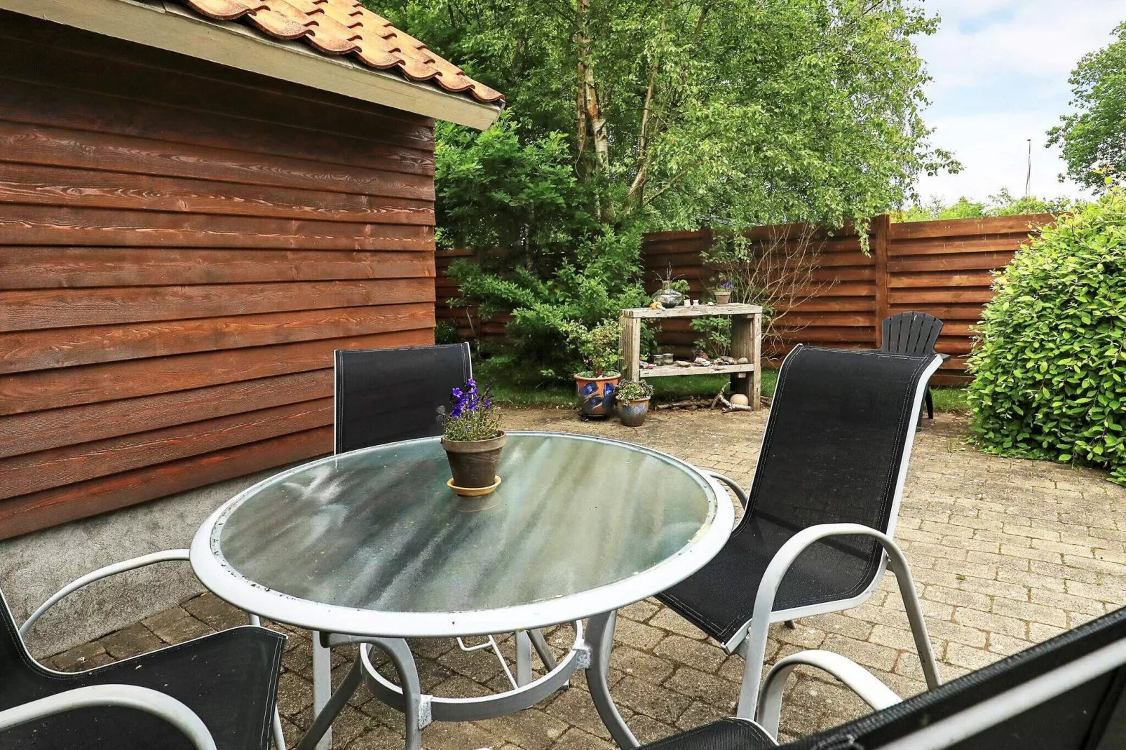 Kustsereniteit in Vejlby Fed-By Traum-Uitzicht