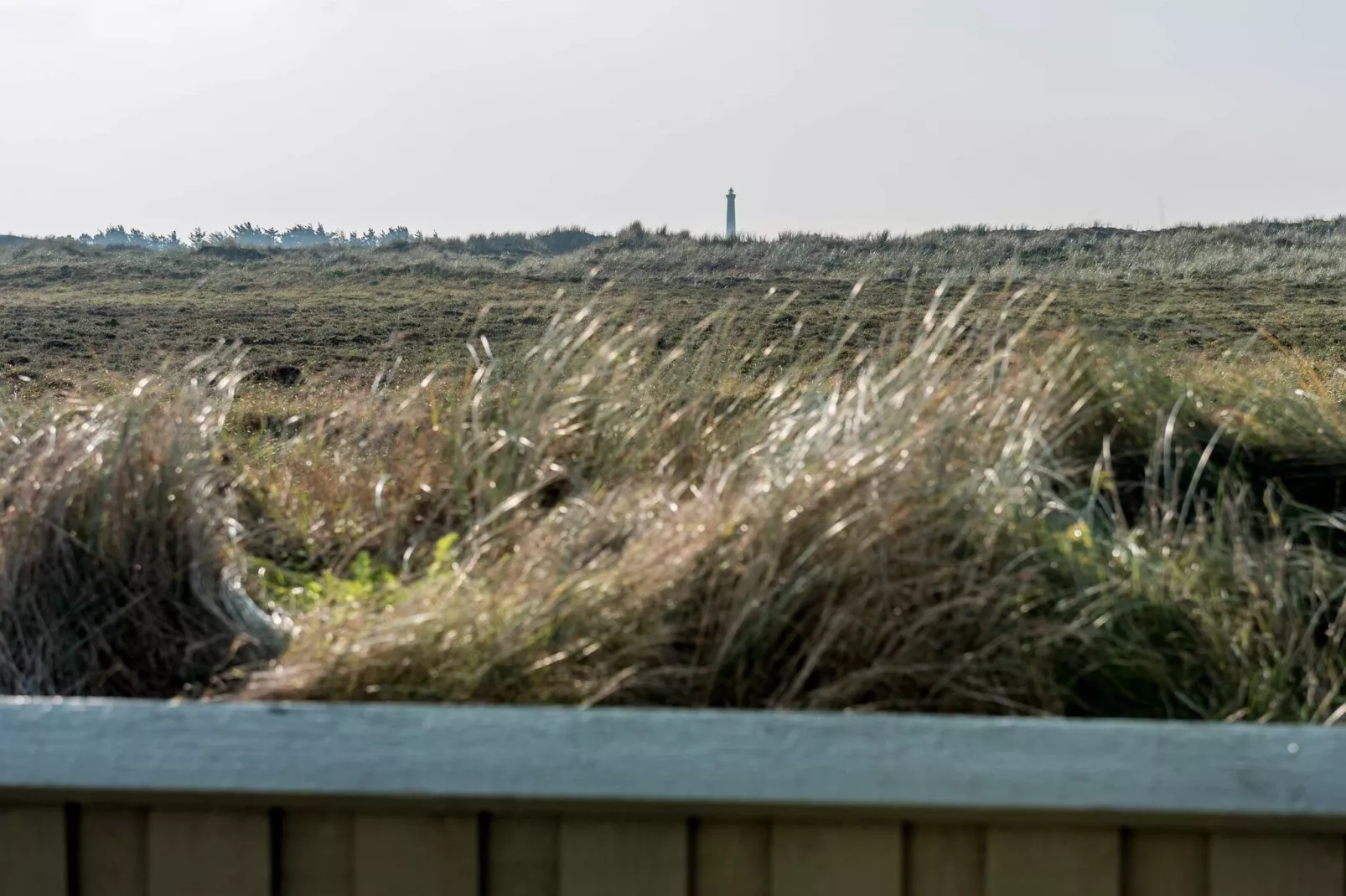 8 persoons vakantie huis in Ringkøbing-Waterzicht