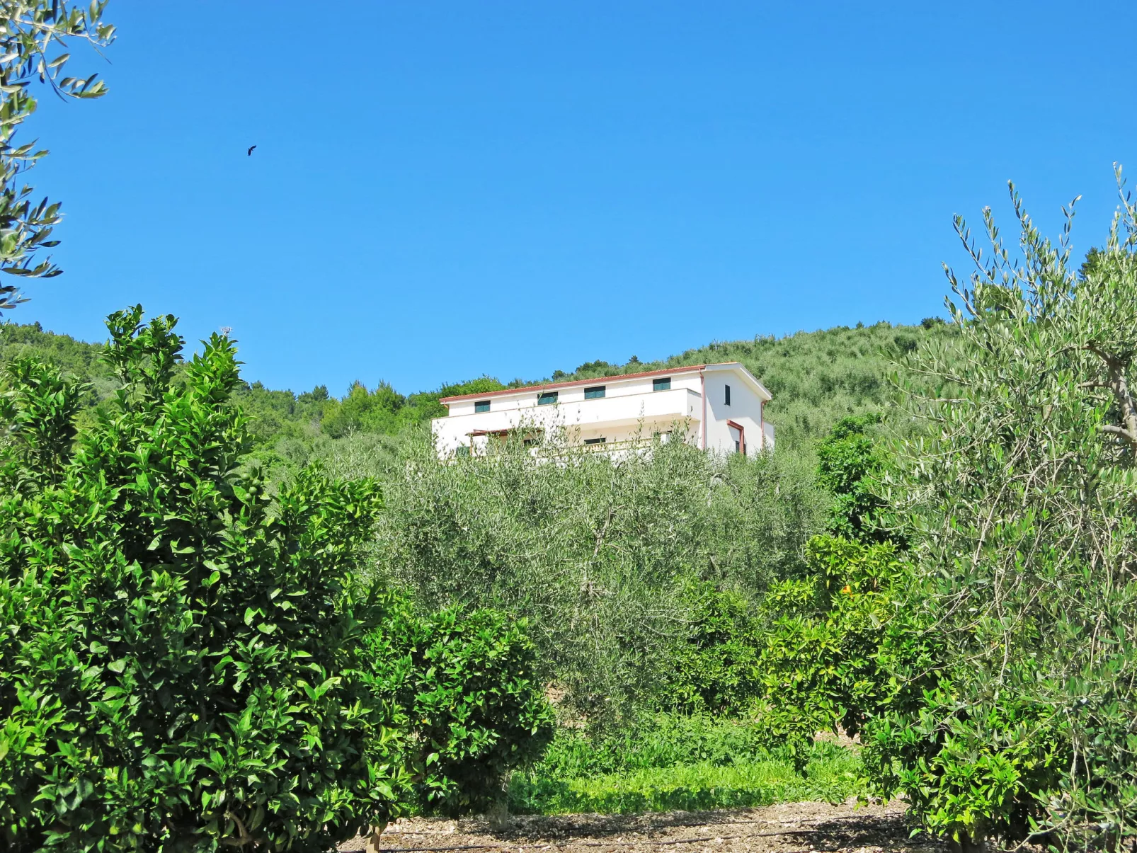 Villa Tavaglione-Buiten