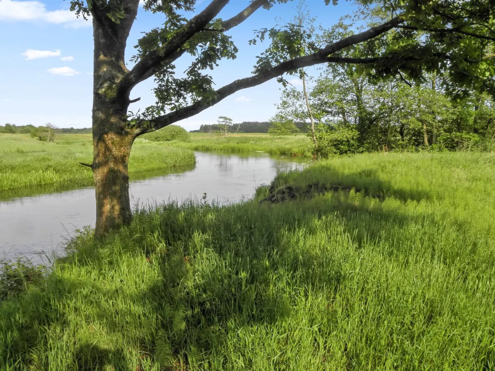 "Beatha" - 25km to the inlet-Buiten