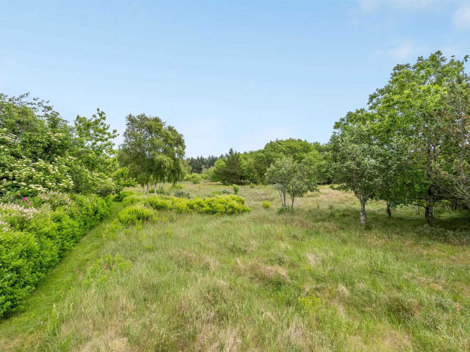 "Anneke" - 2km from the sea-Buiten