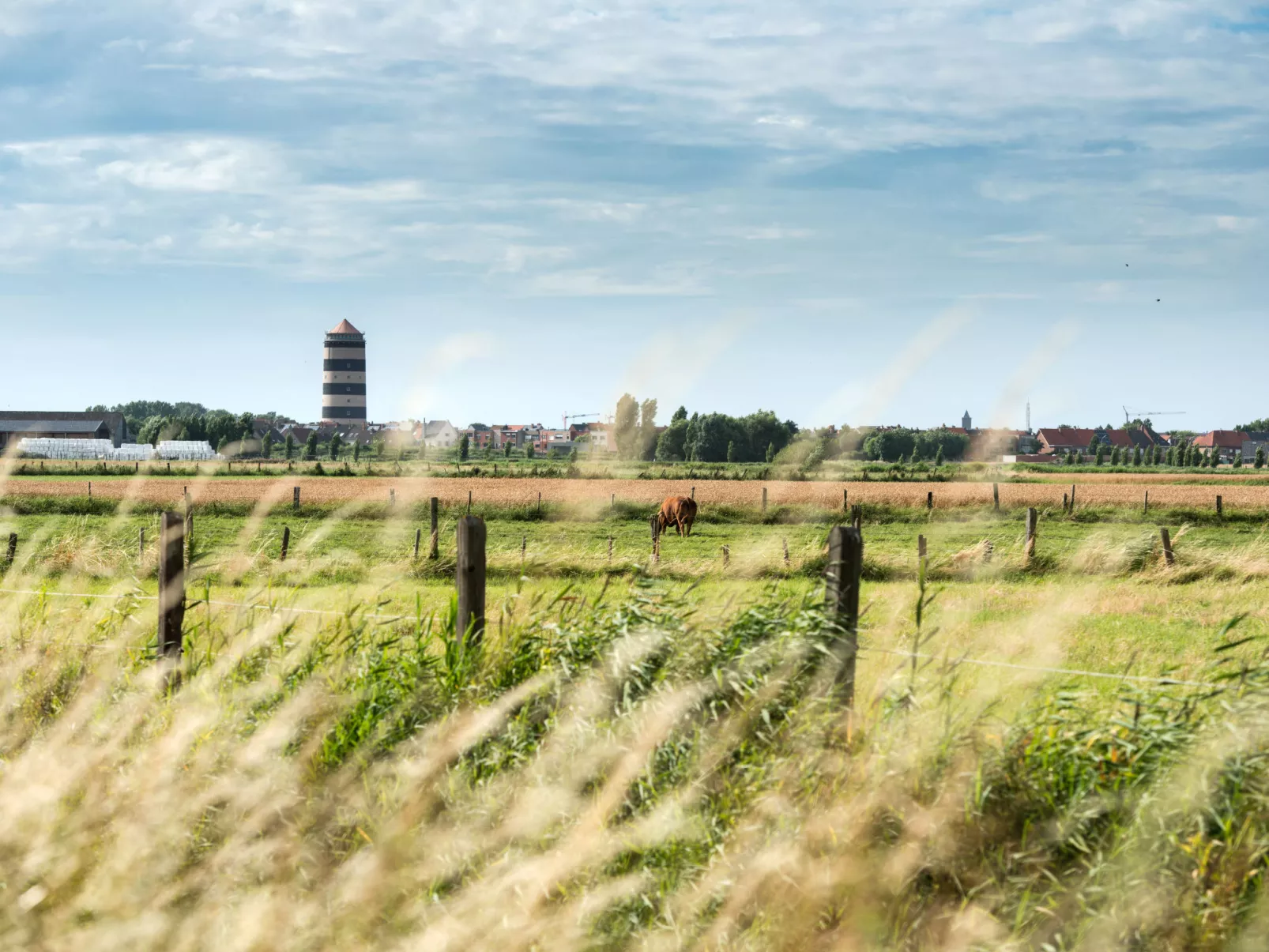 Sea Garden-Buiten