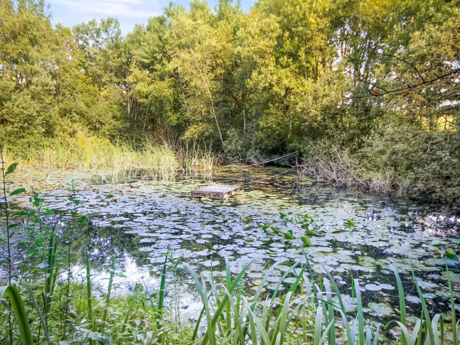 "Geske" - 8.5km from the sea-Buiten