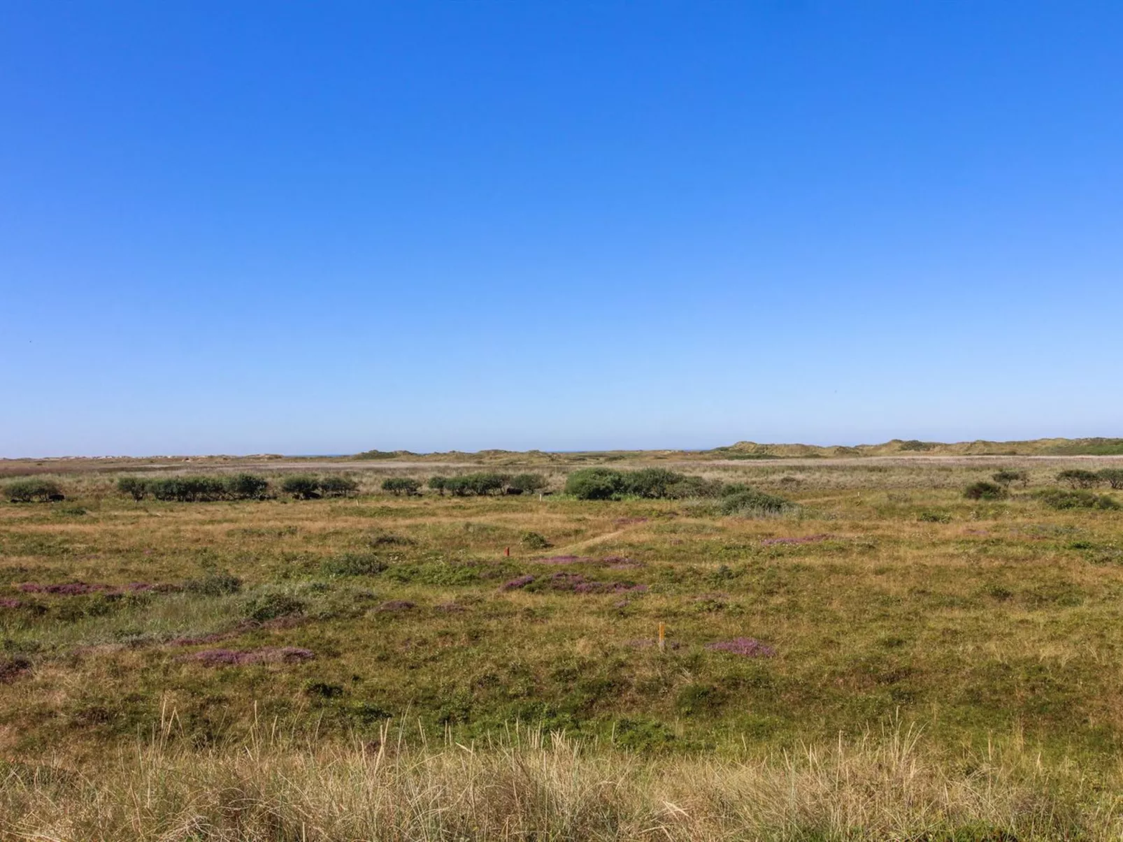 "Alim" - 300m from the sea-Buiten