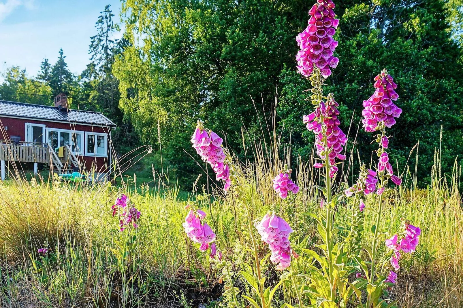 2 persoons vakantie huis in FRÄNDEFORS-Buitenlucht