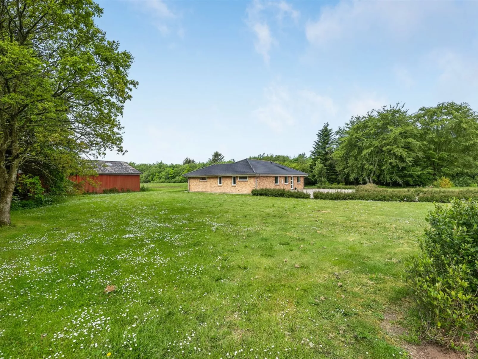 "Andra" - 15km from the sea in Western Jutland-Buiten