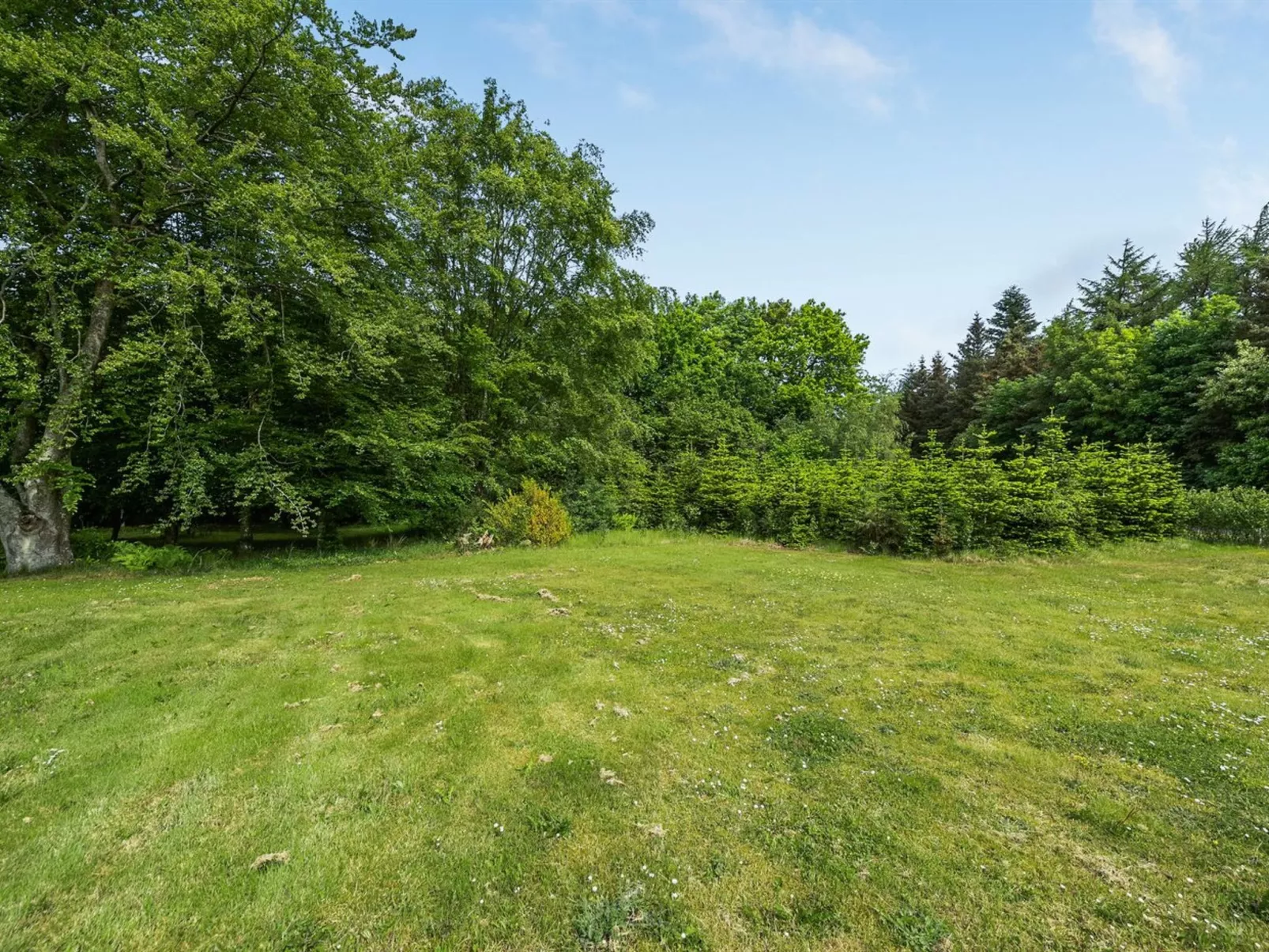 "Andra" - 15km from the sea in Western Jutland-Buiten