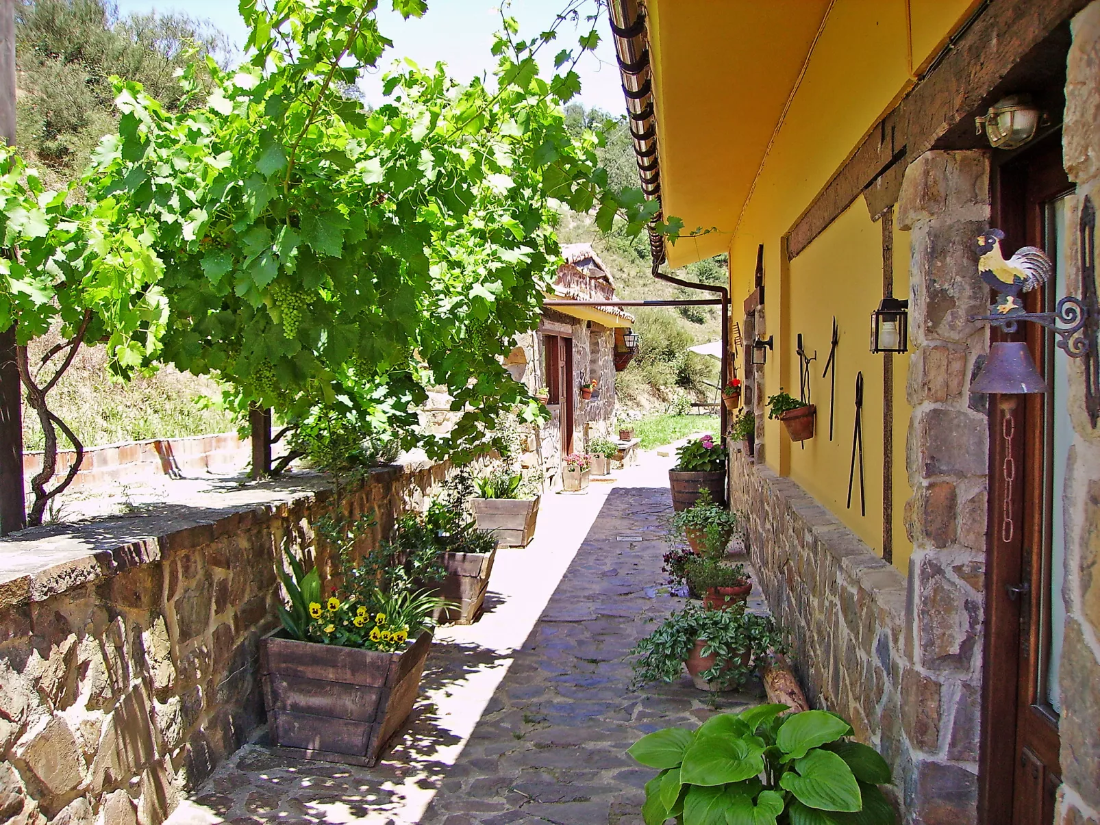 Potes Viñon-Buiten