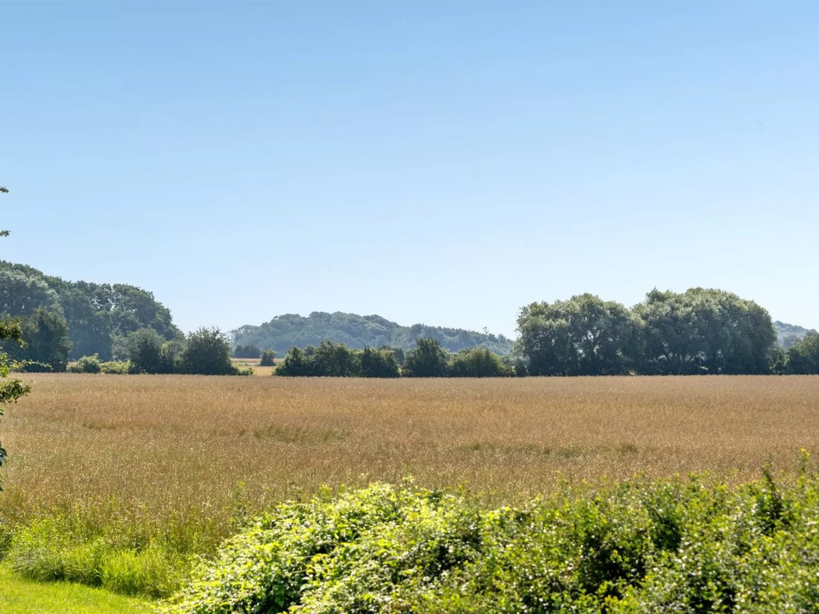 "Aki" - 1.5km from the sea-Buiten