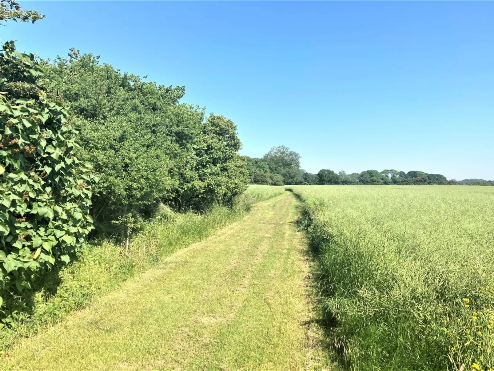 "Aki" - 1.5km from the sea-Buiten
