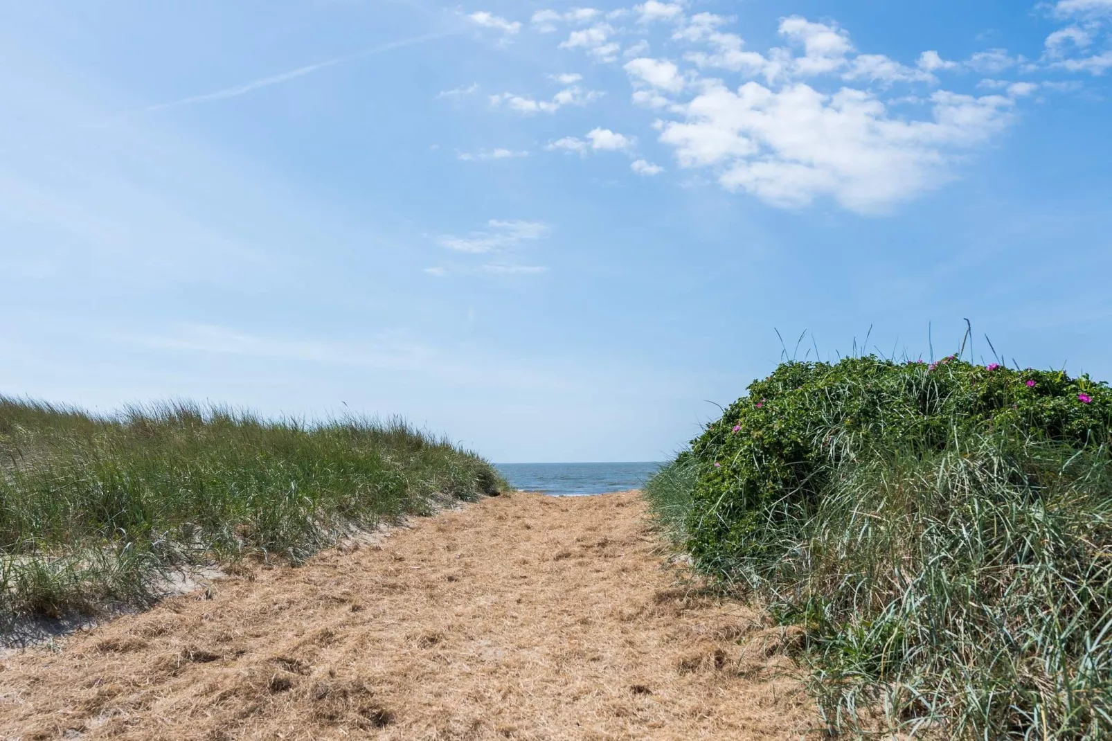 2 persoons vakantie huis in Blåvand-Niet-getagd