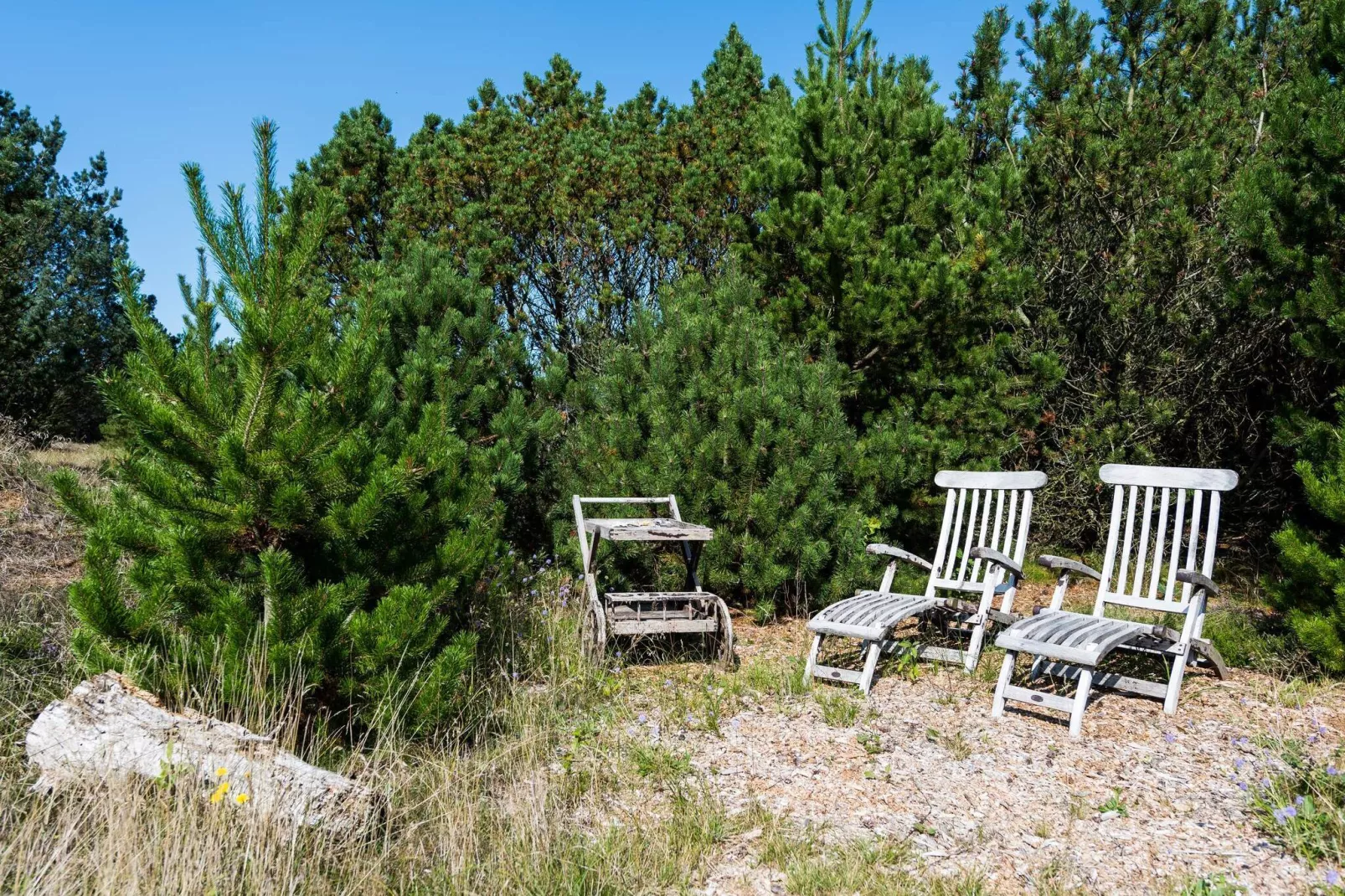 6 persoons vakantie huis op een vakantie park in Blåvand-Uitzicht