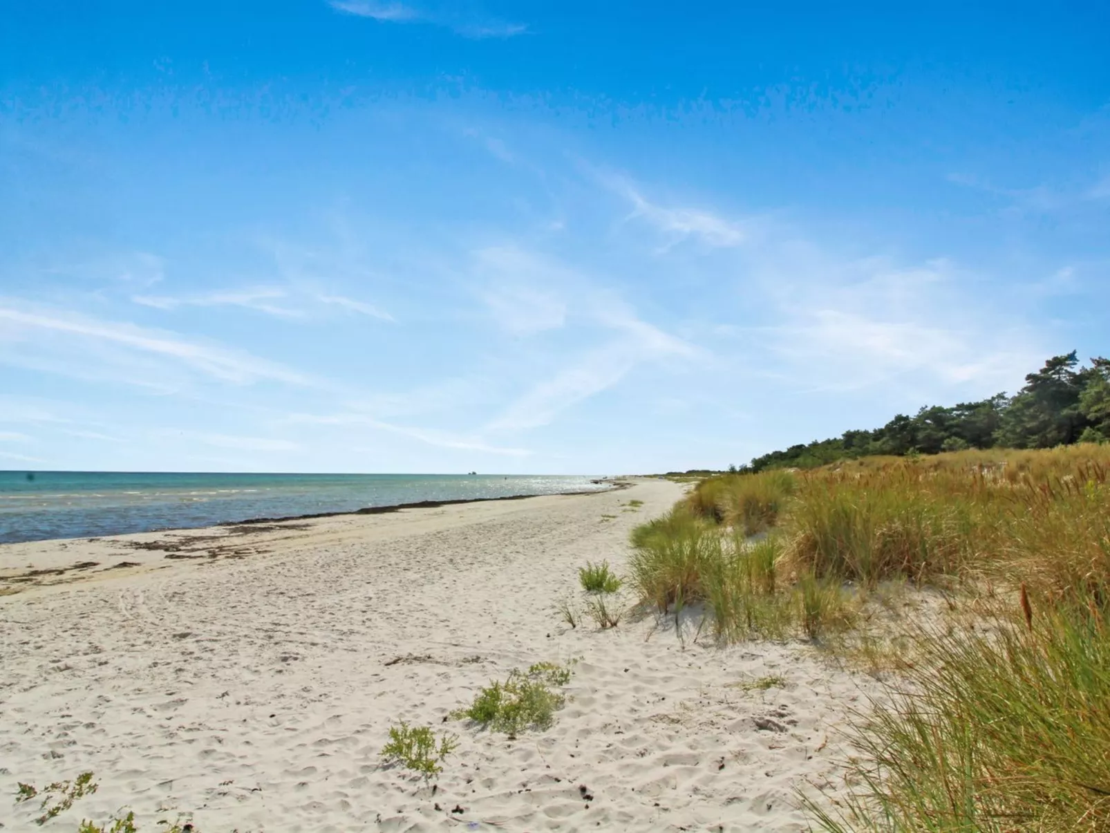 "Læff" - 50m from the sea-Buiten