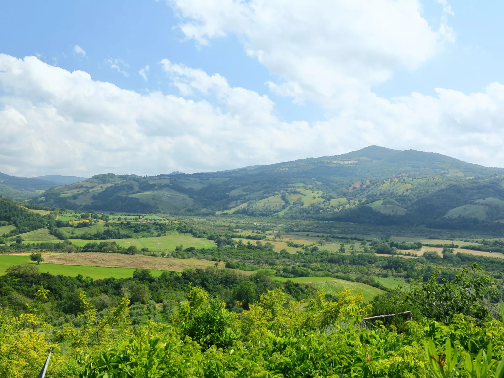 Casa dell'Orto-Buiten