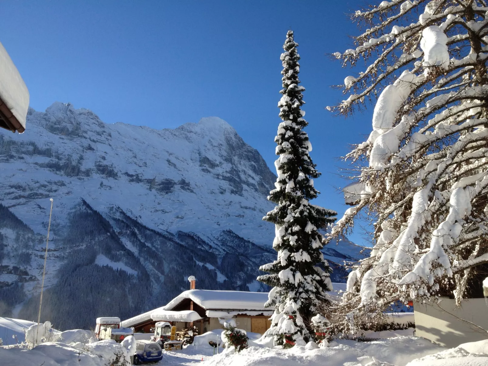 Chalet Bergfink-Buiten