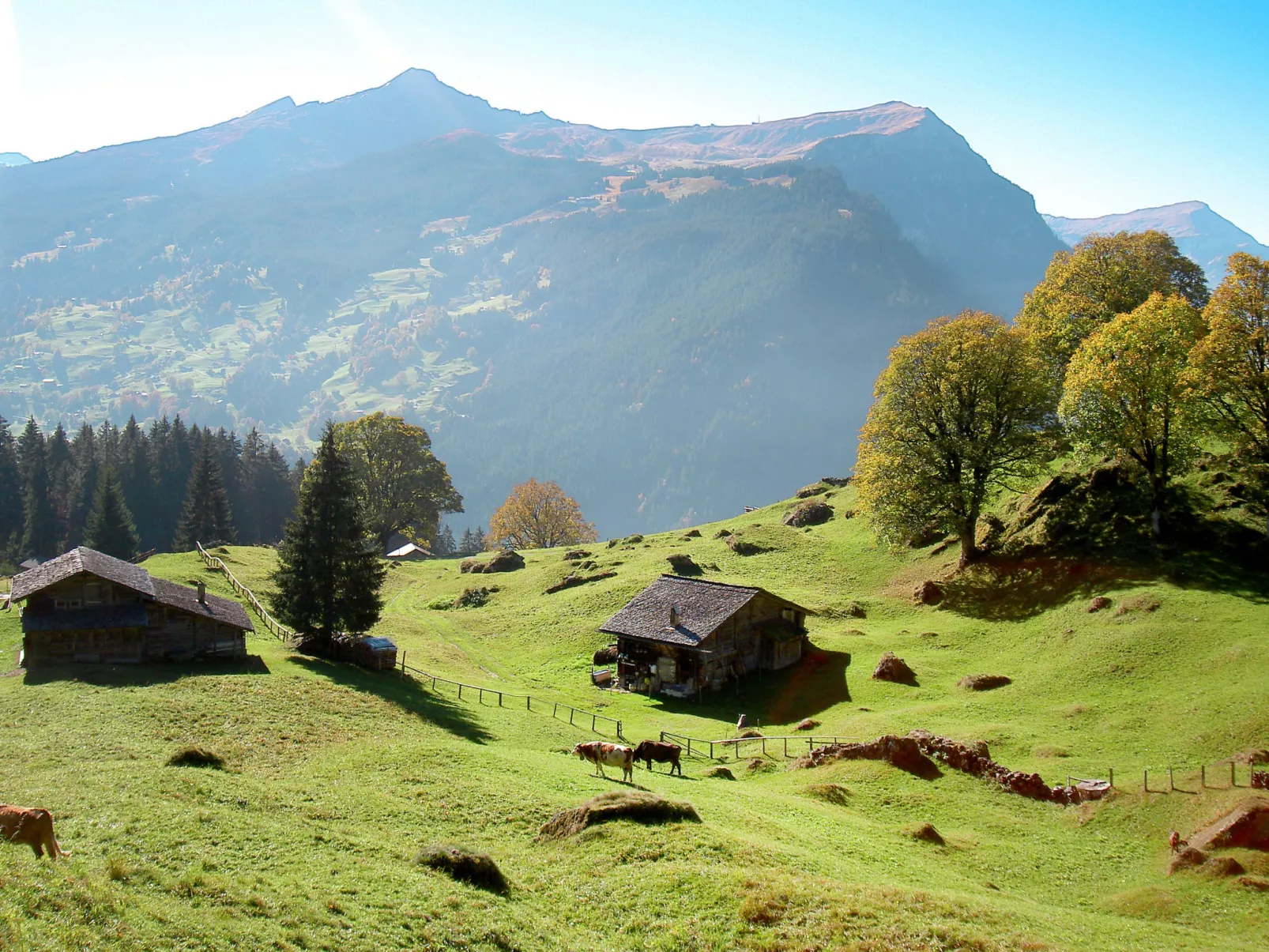 Chalet Bergfink-Omgeving