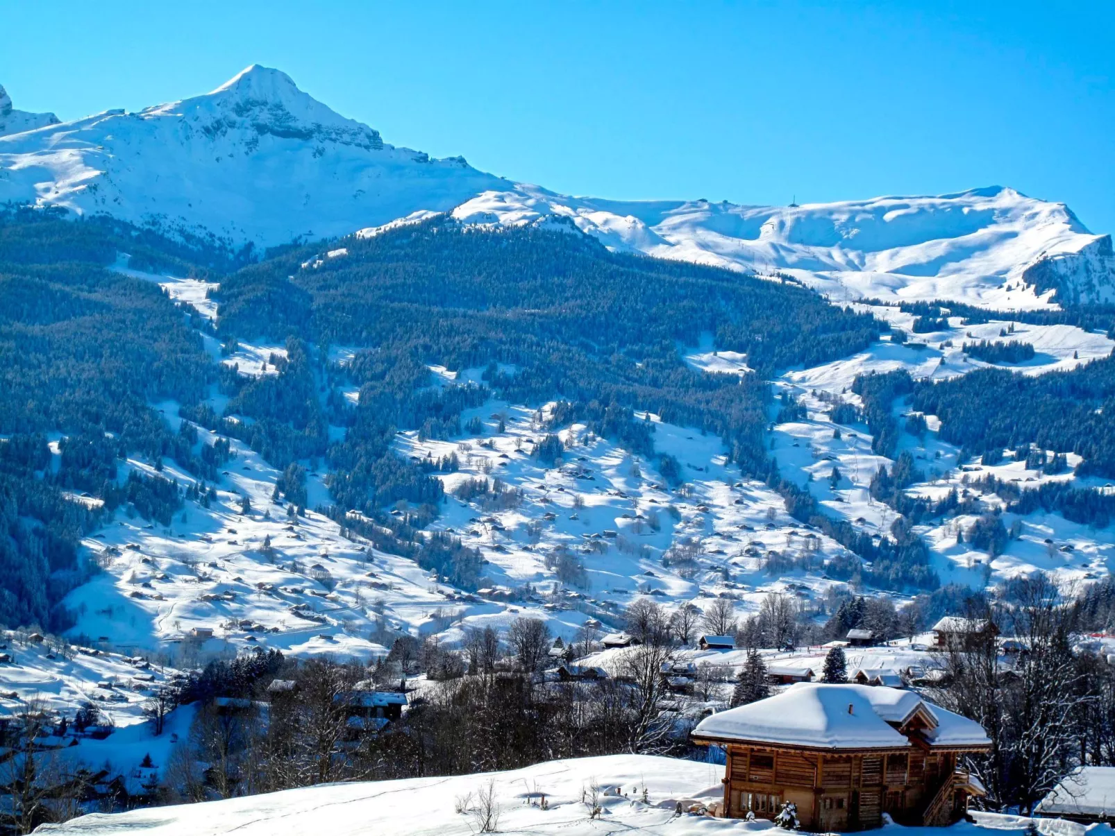 Chalet Bergfink-Omgeving