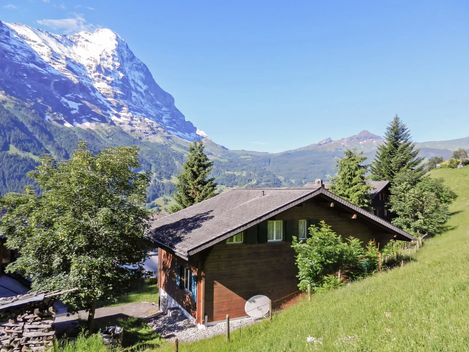 Chalet Bienli-Buiten