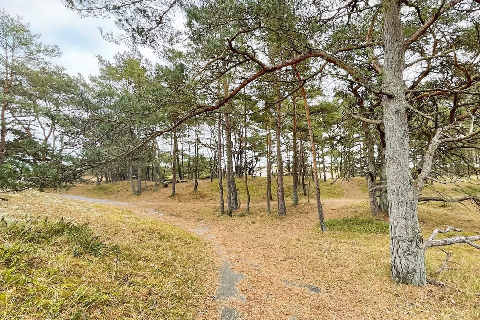 7 persoons vakantie huis in YNGSJÖ-By Traum-Niet-getagd