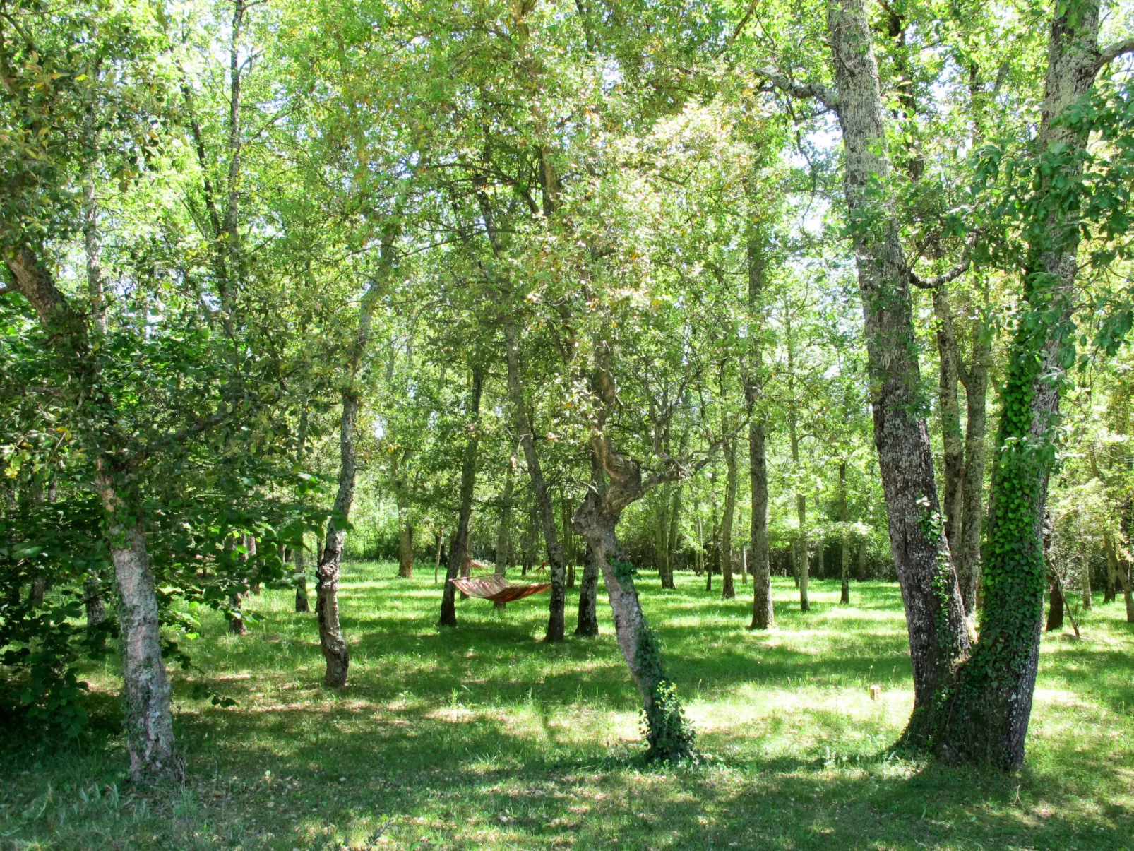 Villa Surya-Buiten