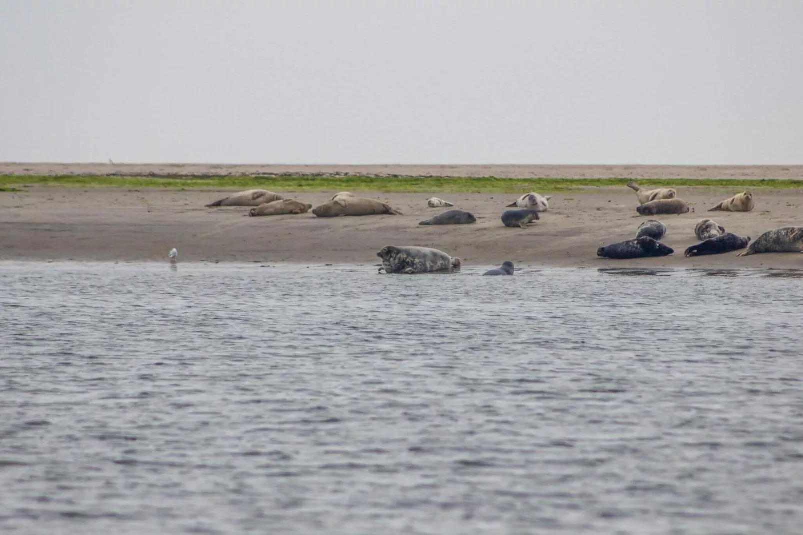 5 sterren vakantie huis in Fanø-Buitenlucht