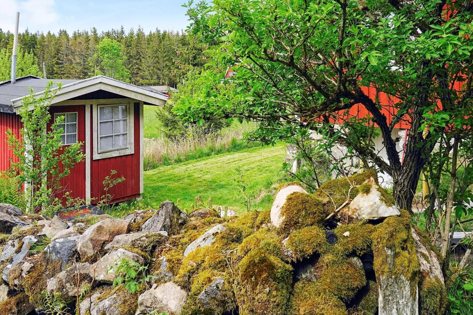 6 persoons vakantie huis in HENÅN-Buitenlucht