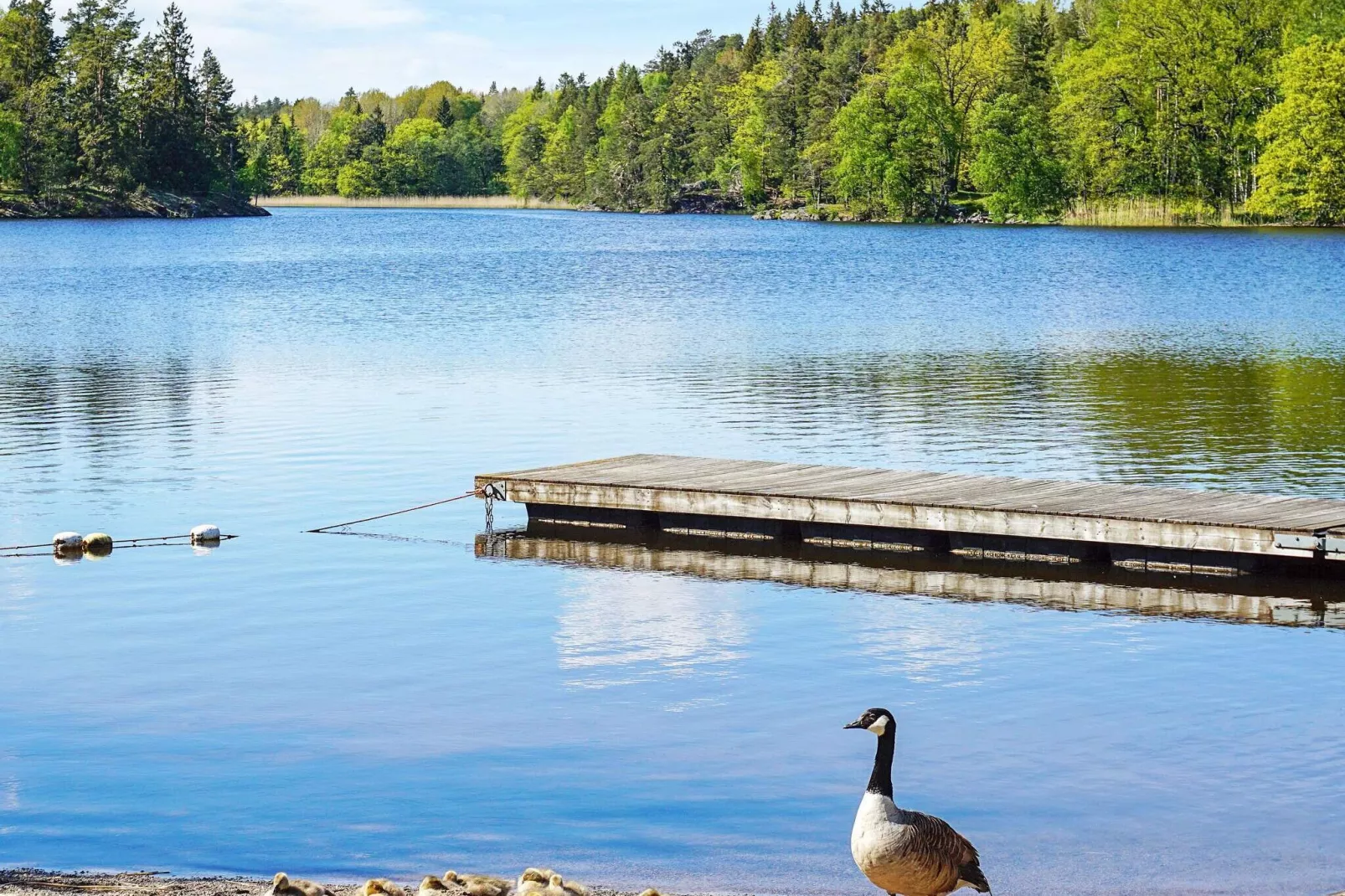 5 persoons vakantie huis in TYRESÖ-Niet-getagd