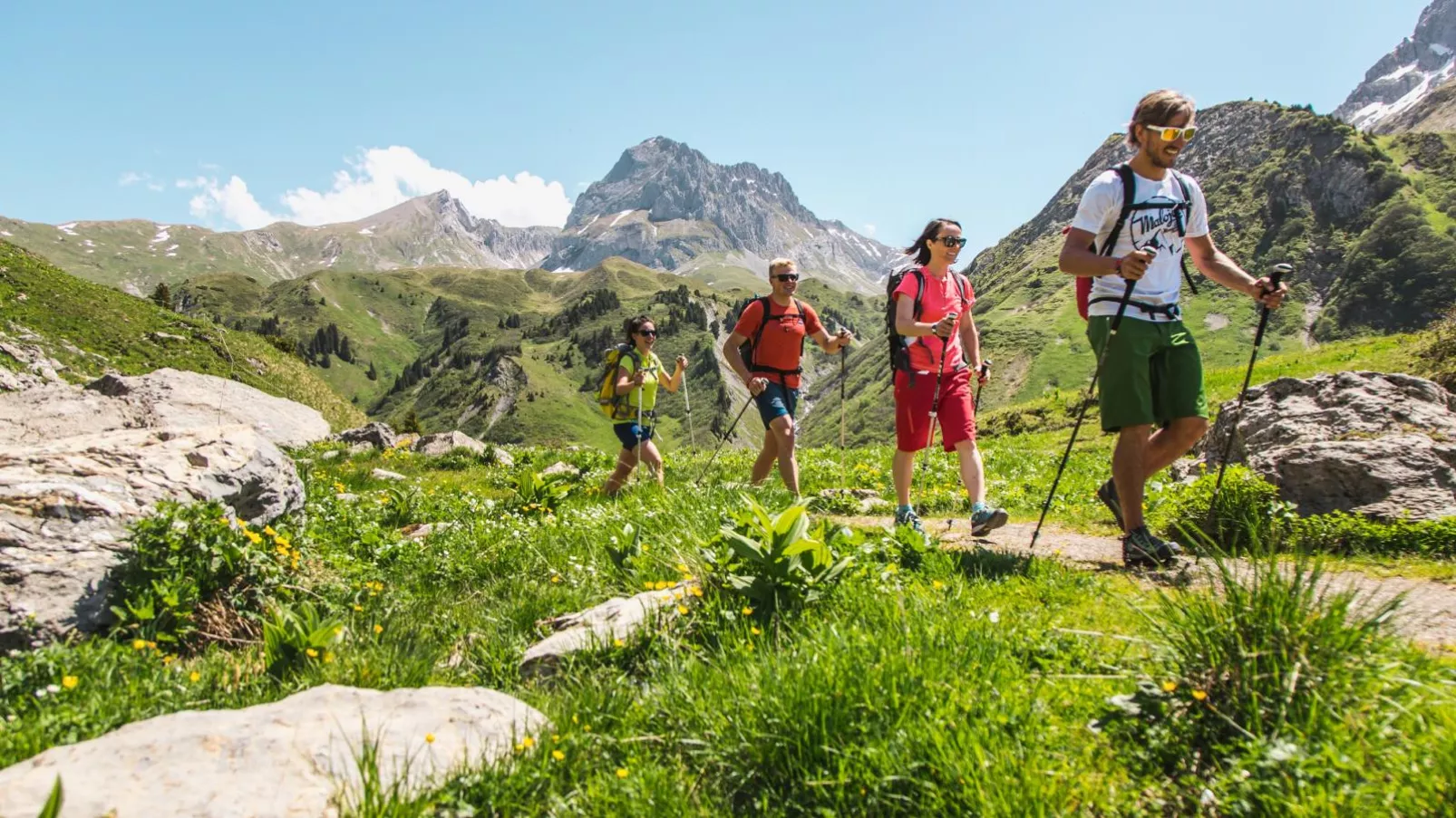 Mamalisl-Gebieden zomer 20km