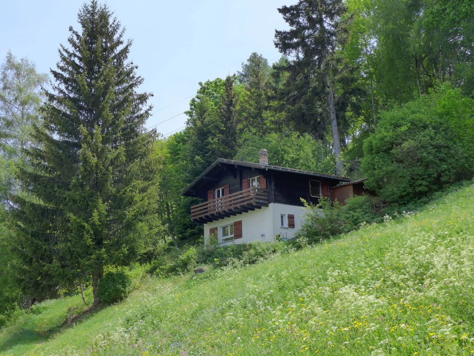 Chalet Ninette