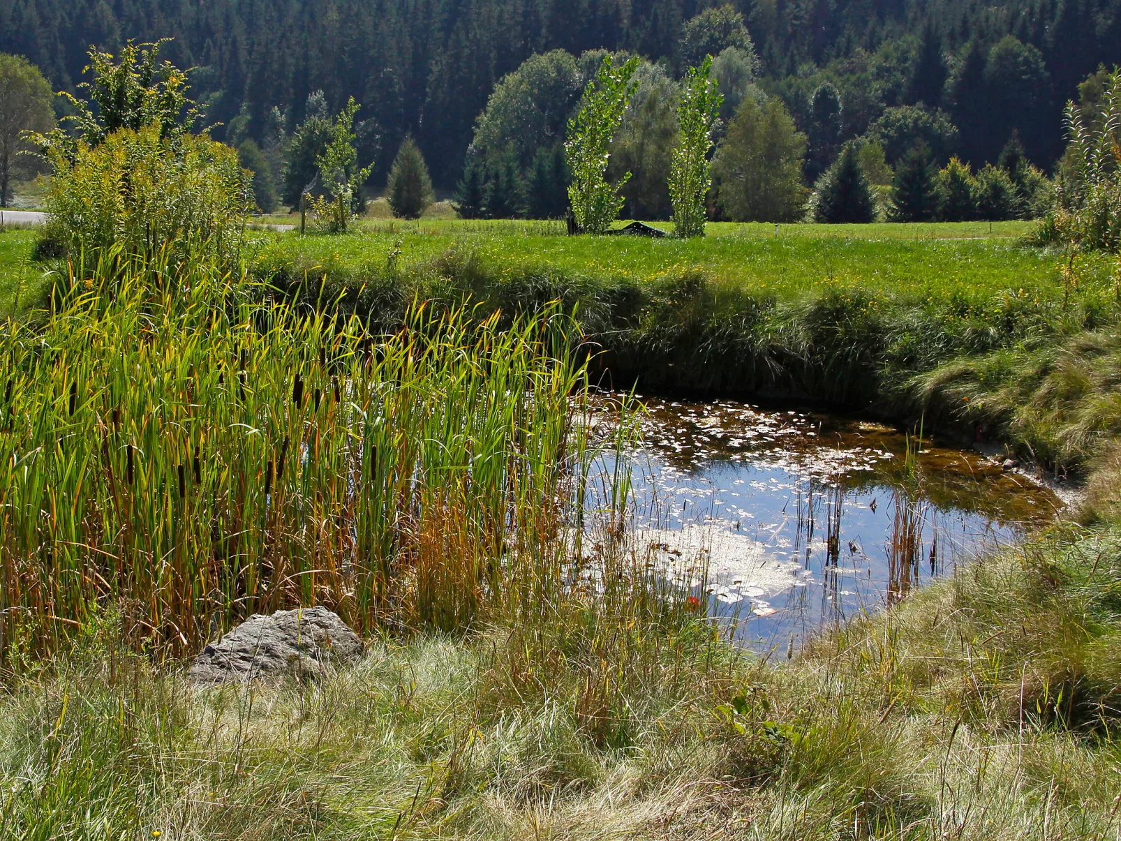 Carinthia-Buiten