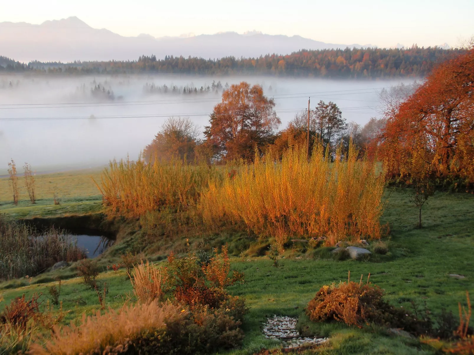 Carinthia-Binnen