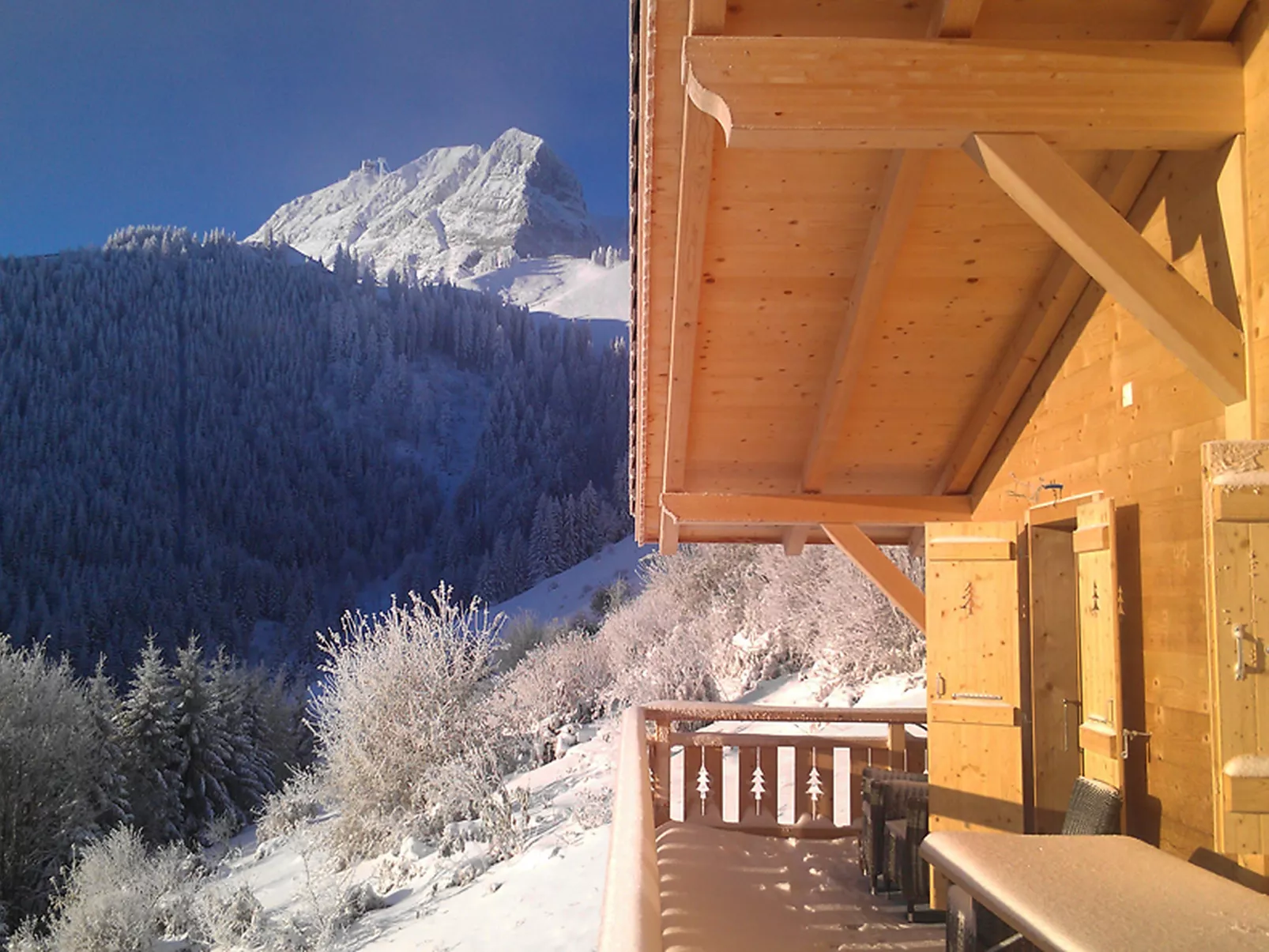 Chalet La Poya-Buiten