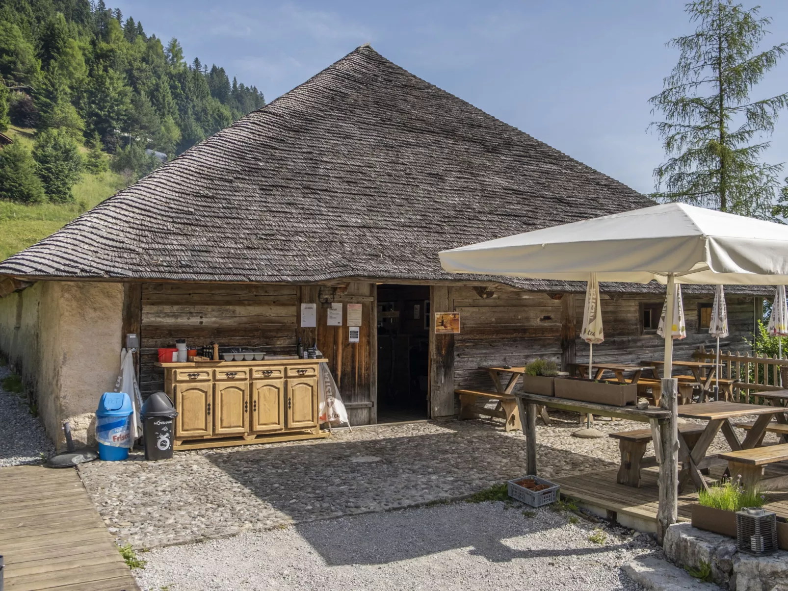 Chalet La Poya-Omgeving