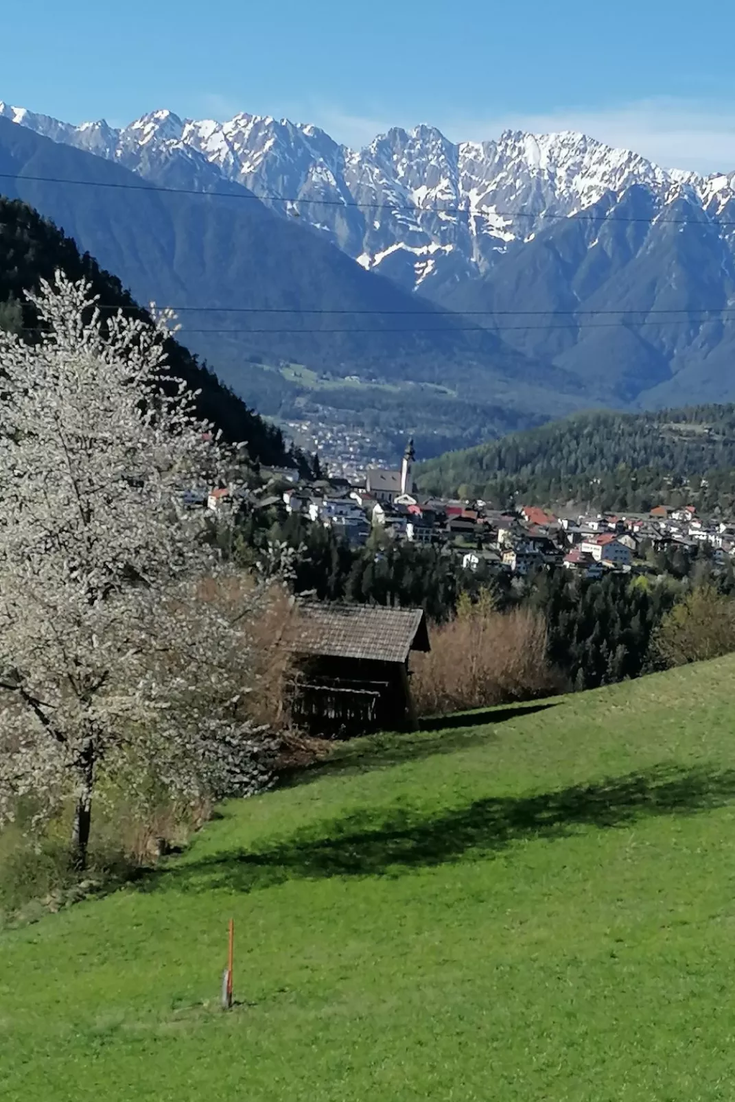 Alpengruss-Omgeving