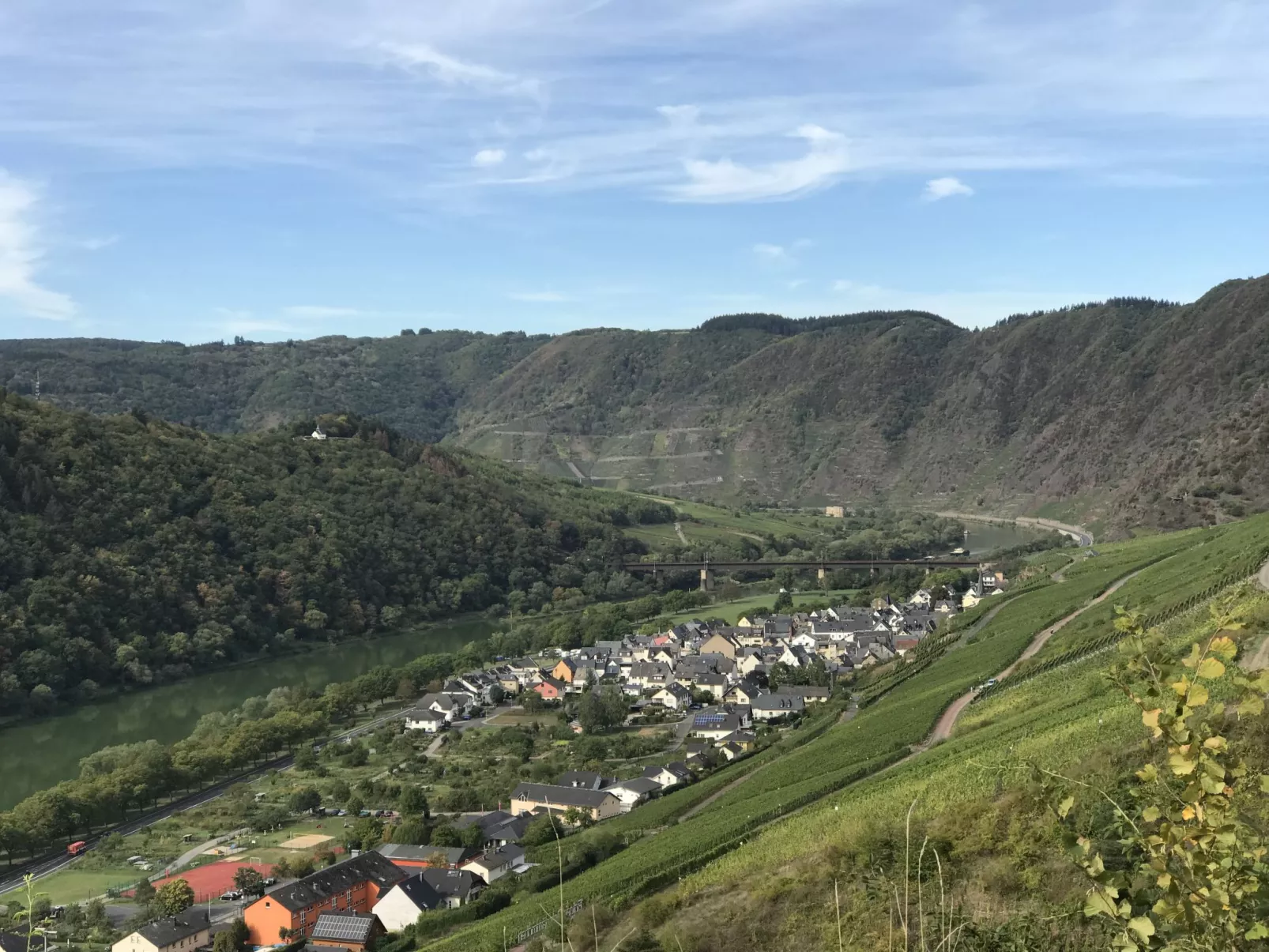 Winzerhaus-Omgeving