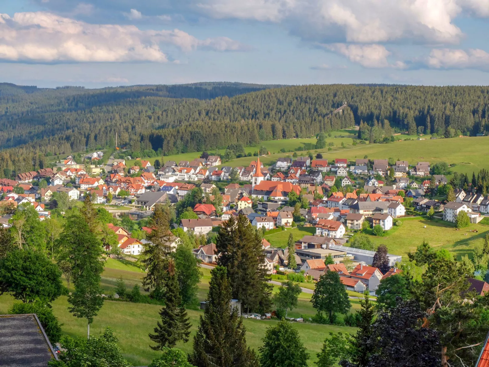 Schwarzwaldblick-Buiten