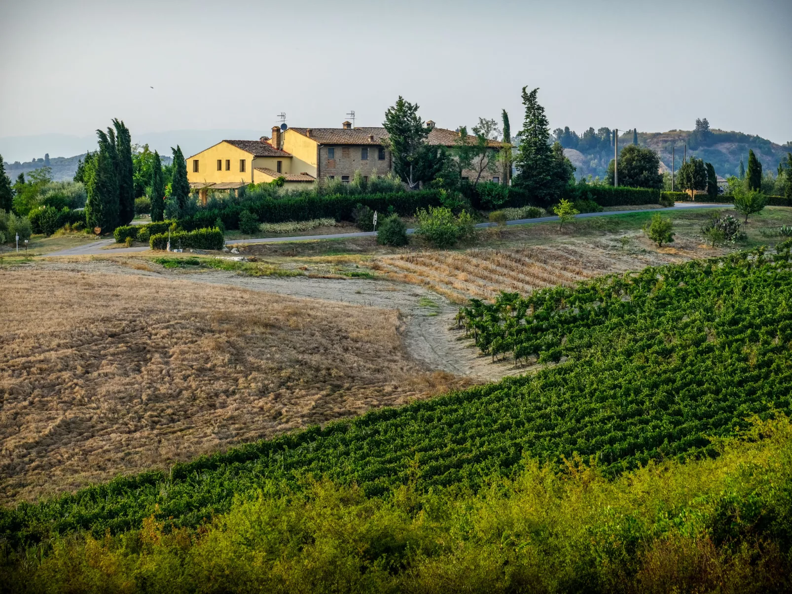 Podere La Torre-Buiten