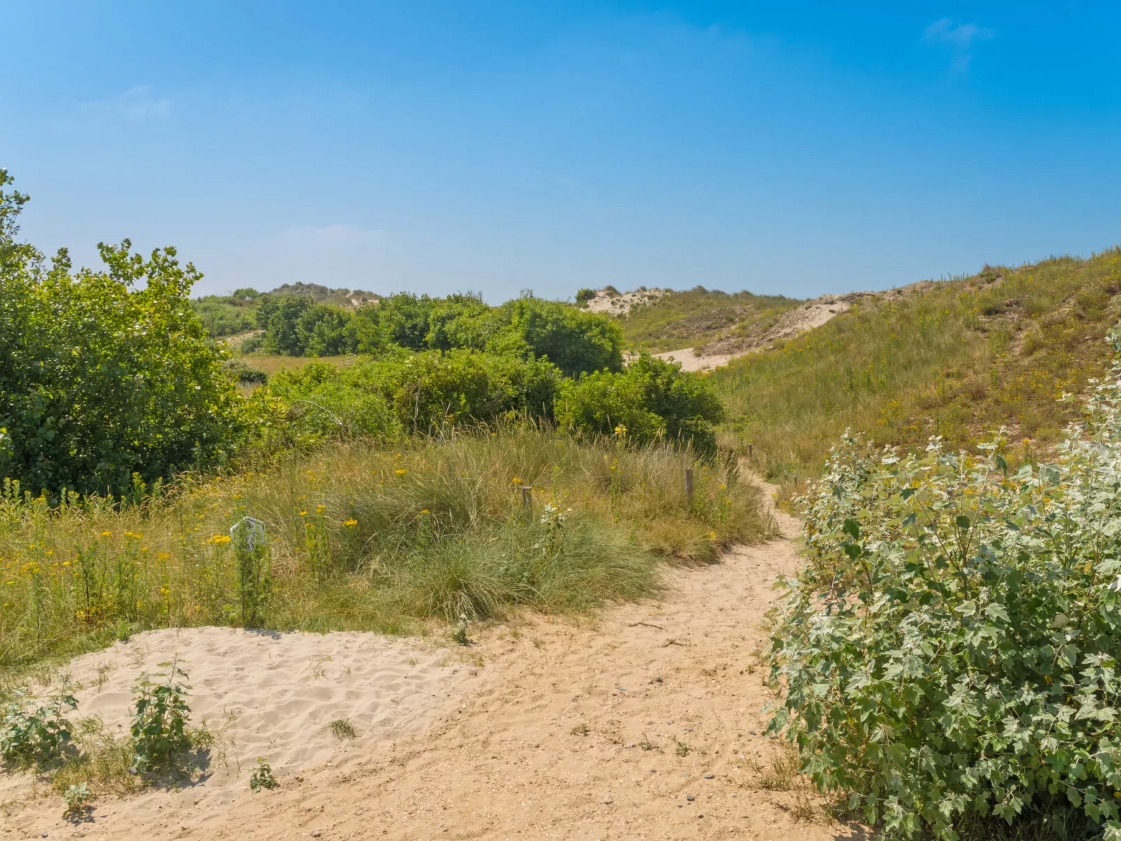 Park Kerlinga-Buiten