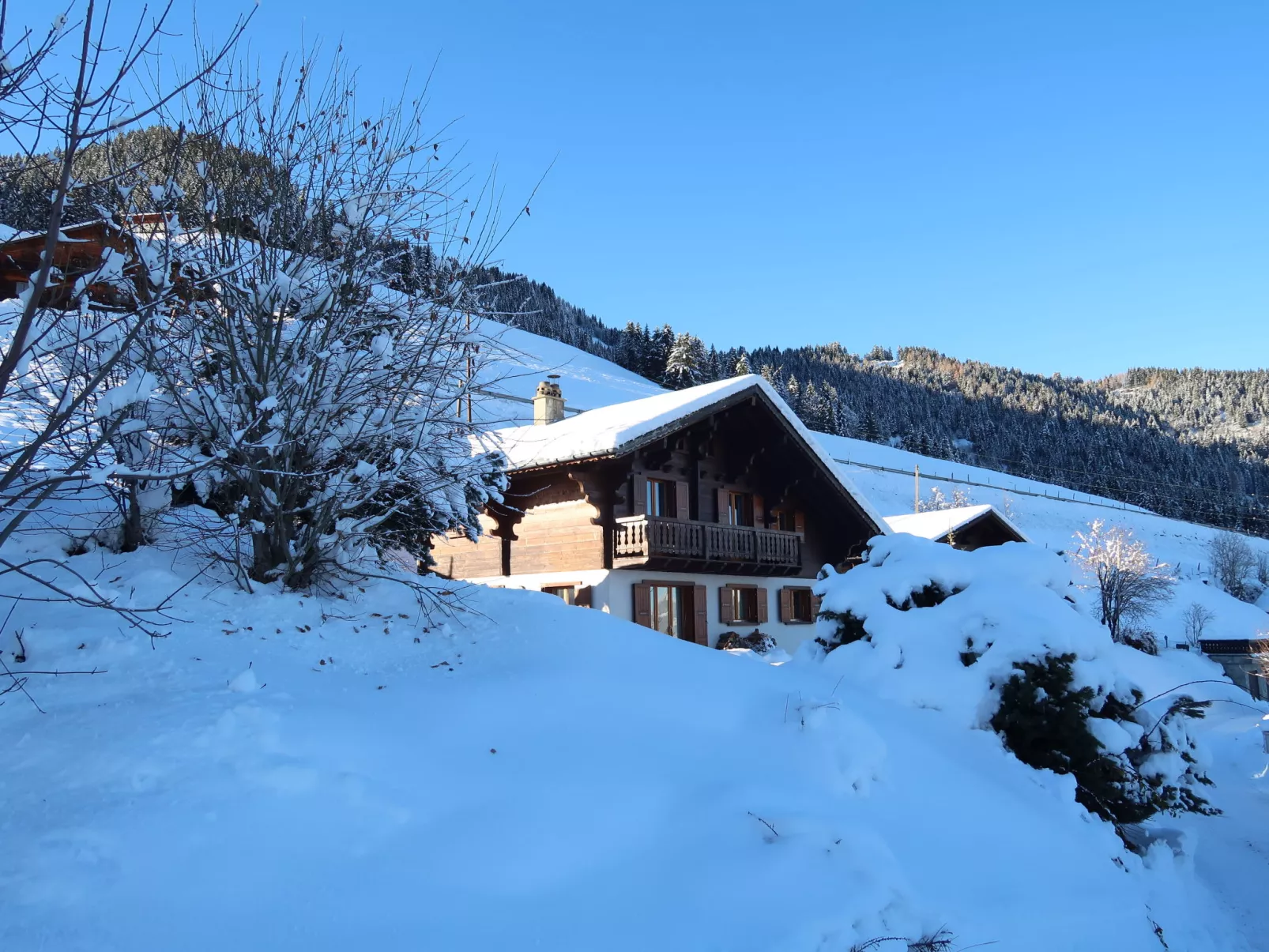Chalet Seravalle-Buiten