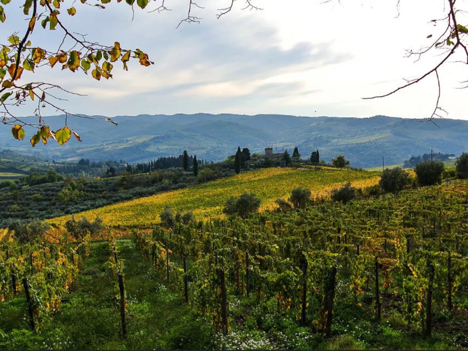 L'Angolo di Uzzano-Omgeving