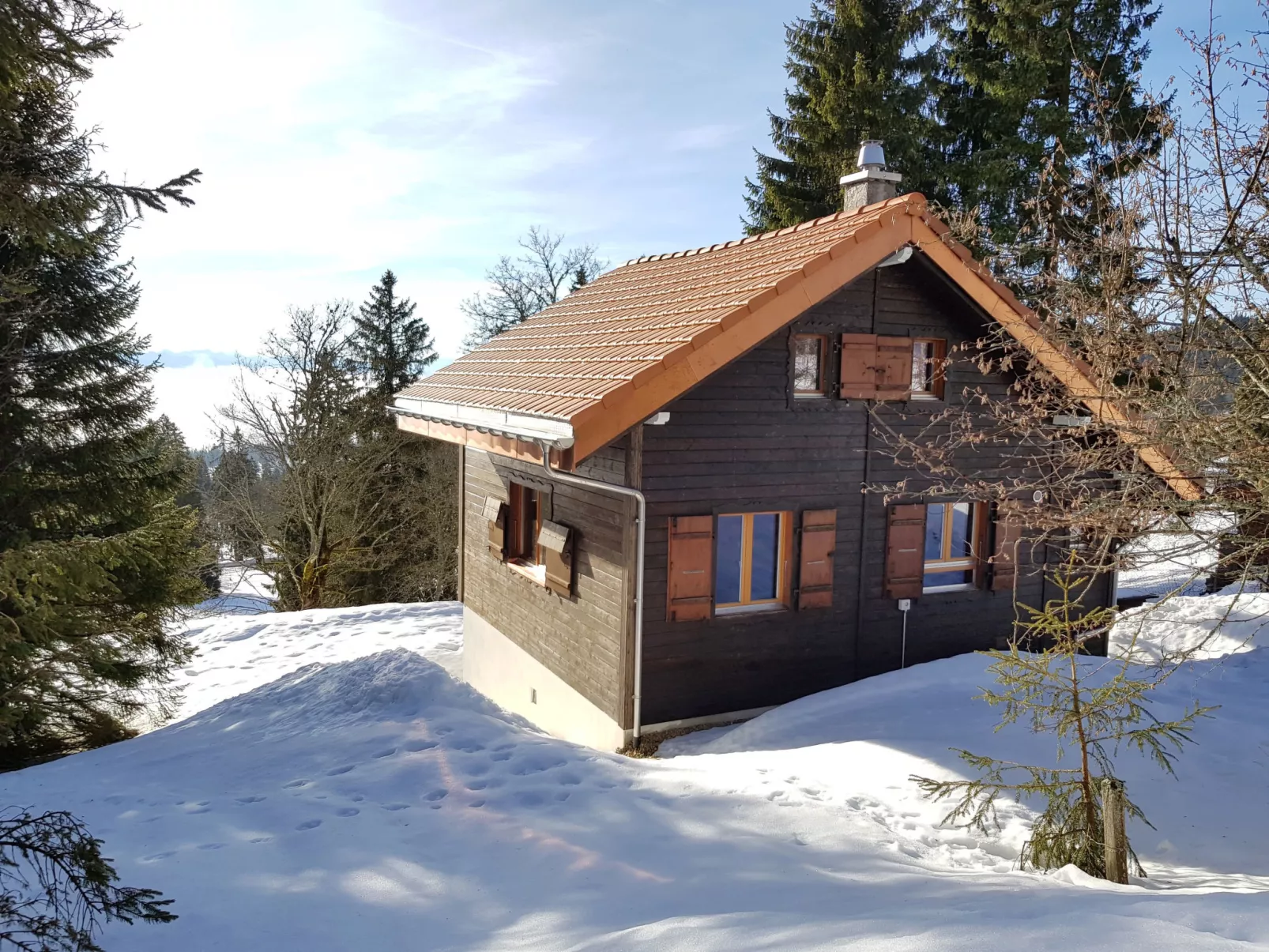 Chalet de la Vue des Alpes-Buiten