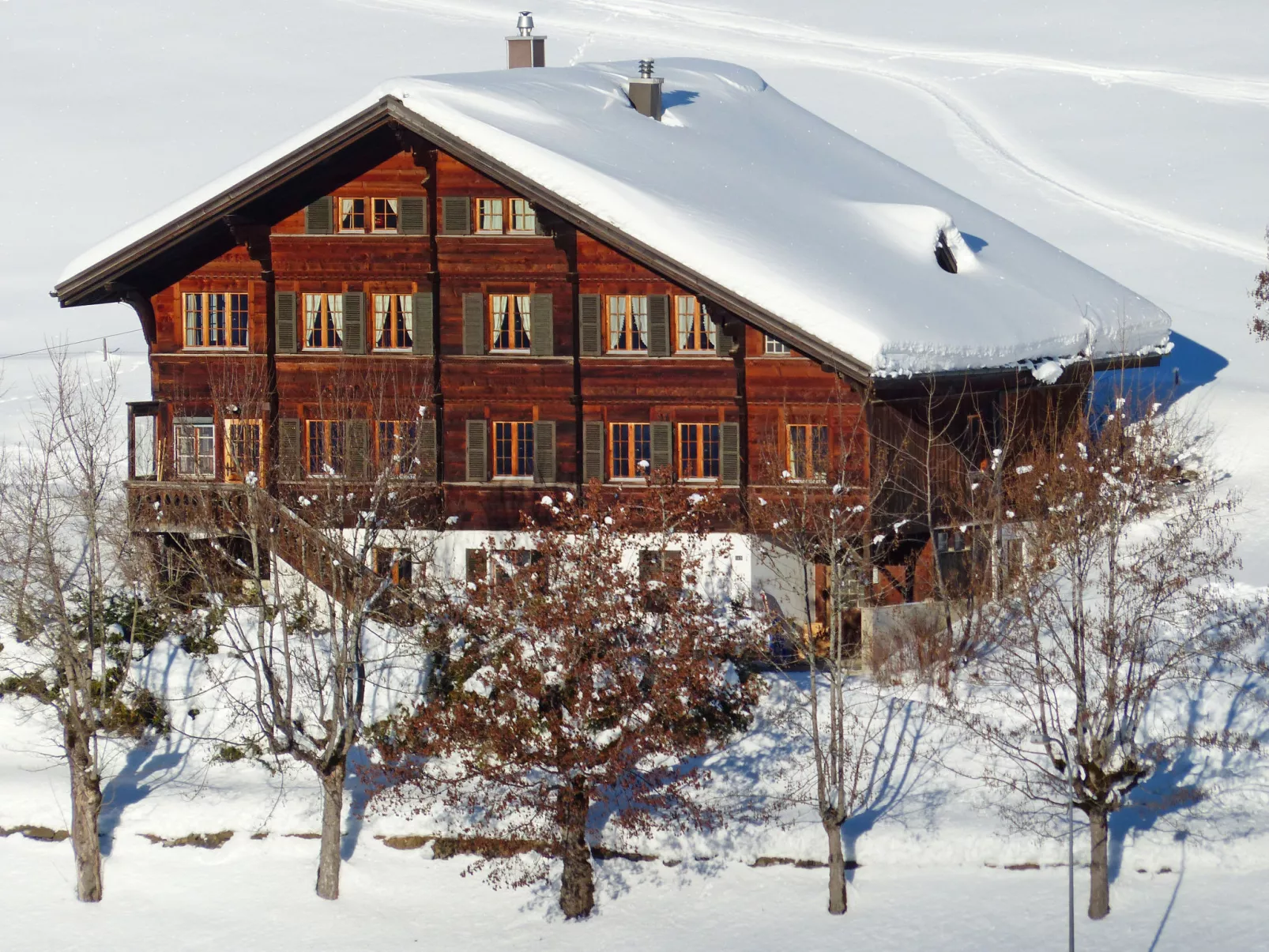 Chalet Ahorni-Buiten