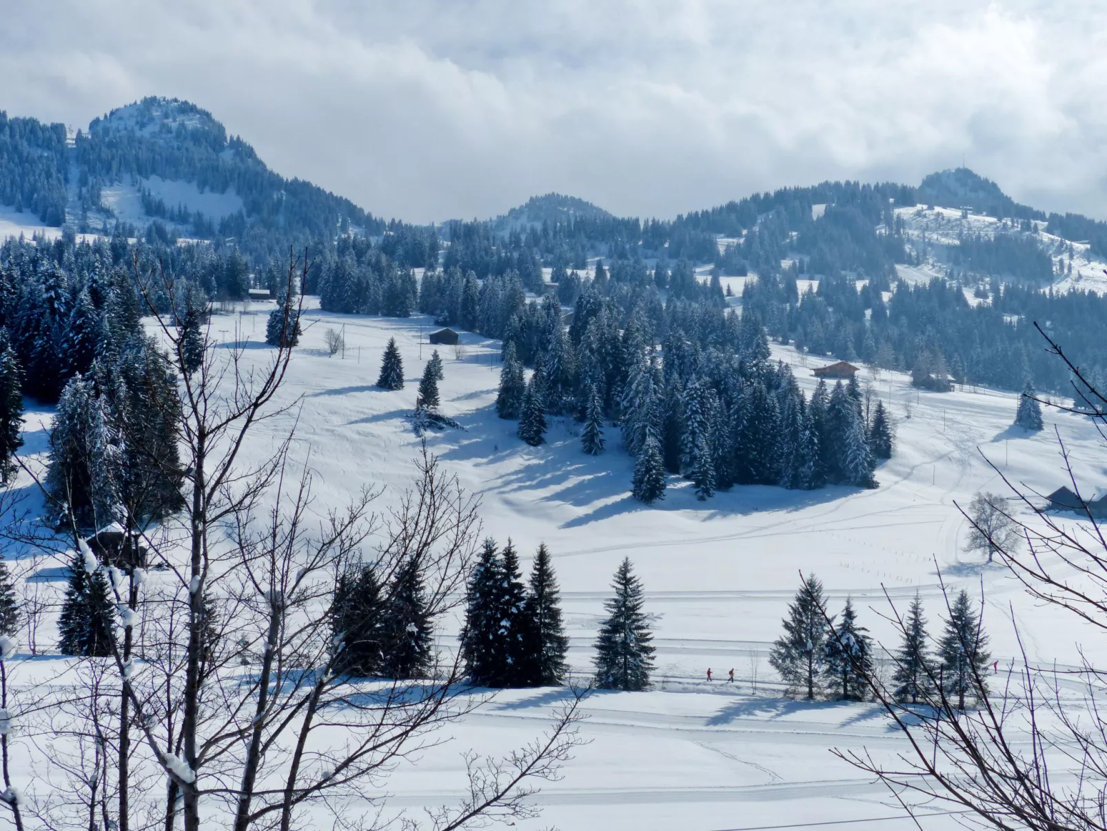 Chalet Ahorni-Buiten