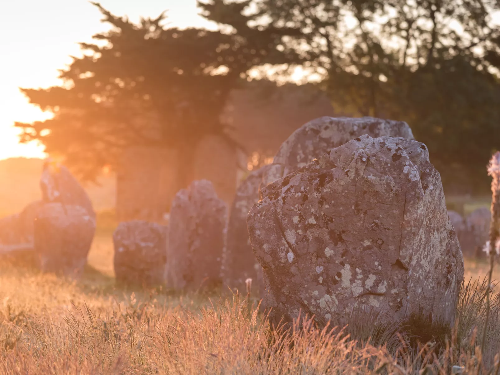 Bretagne-Omgeving